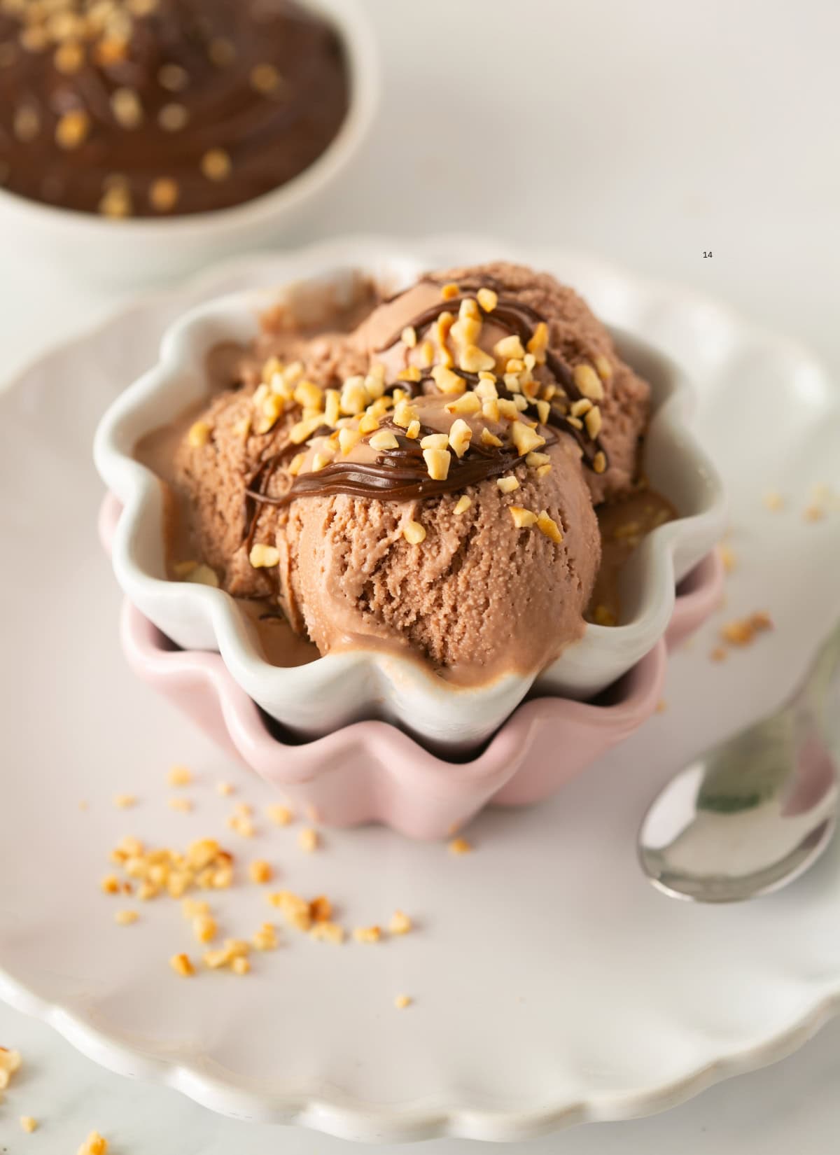 Homemade Nutella ice cream.